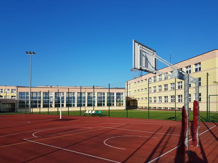 By Educational Level