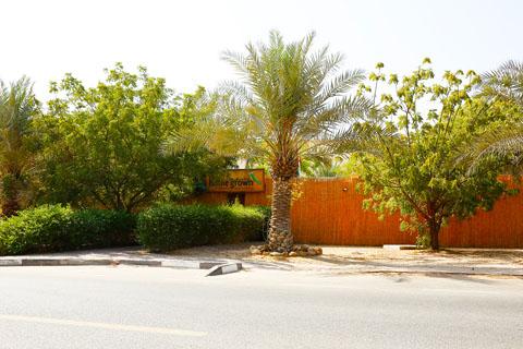 Home Grown Childrens Nursery in Al Safa 2 – Early Childhood Education Nursery in Al Safa Second