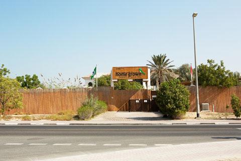 Home Grown Childrens Nursery in Umm Suqeim 2 – Early Childhood Education Nursery in Umm Suqeim Second