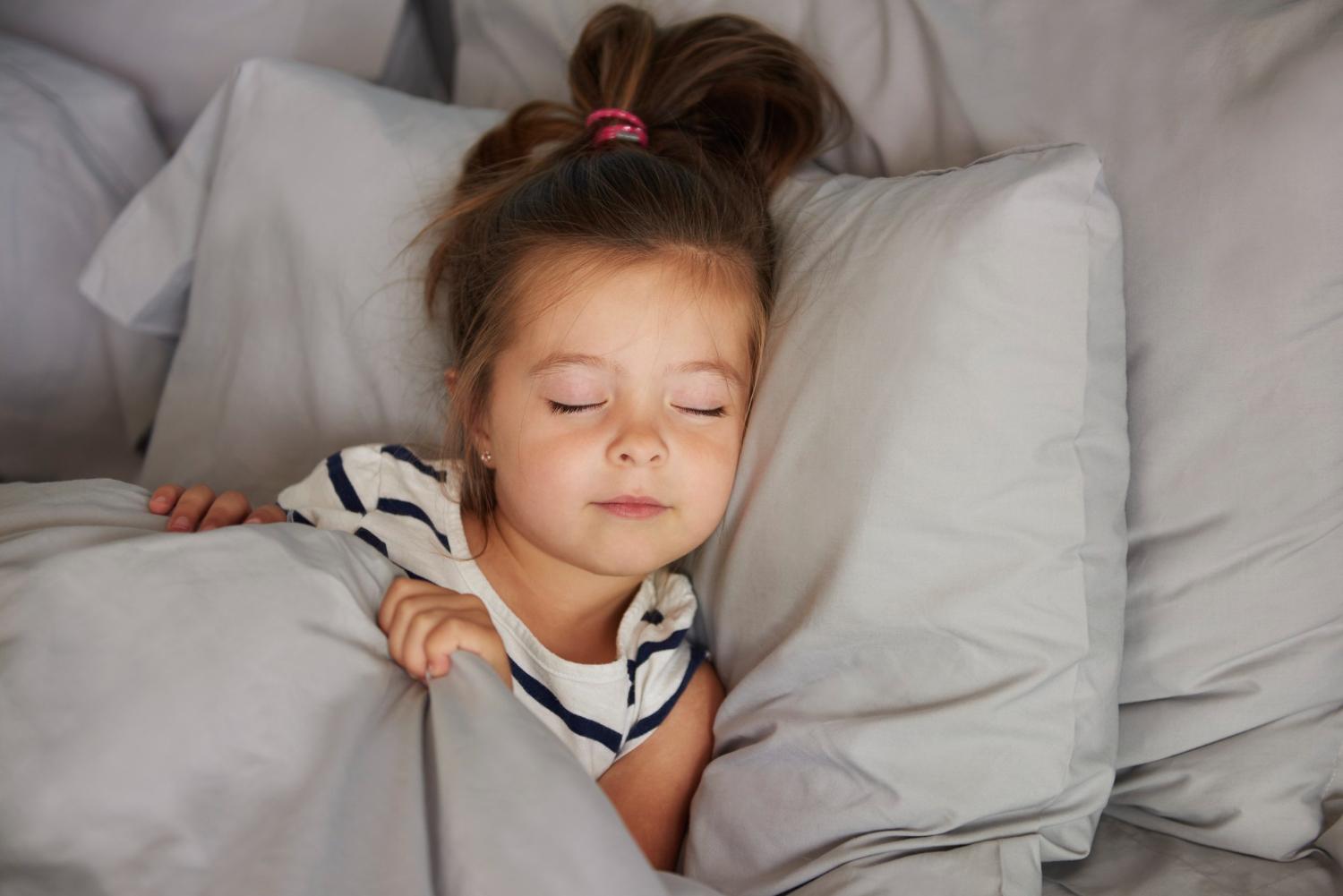Understanding Toddler Sleep Patterns: A Guide for Parents – Schoolsery Blog Article