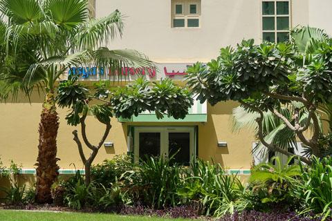 Asya's Nursery – Early Childhood Education Nursery in Palm Jumeirah