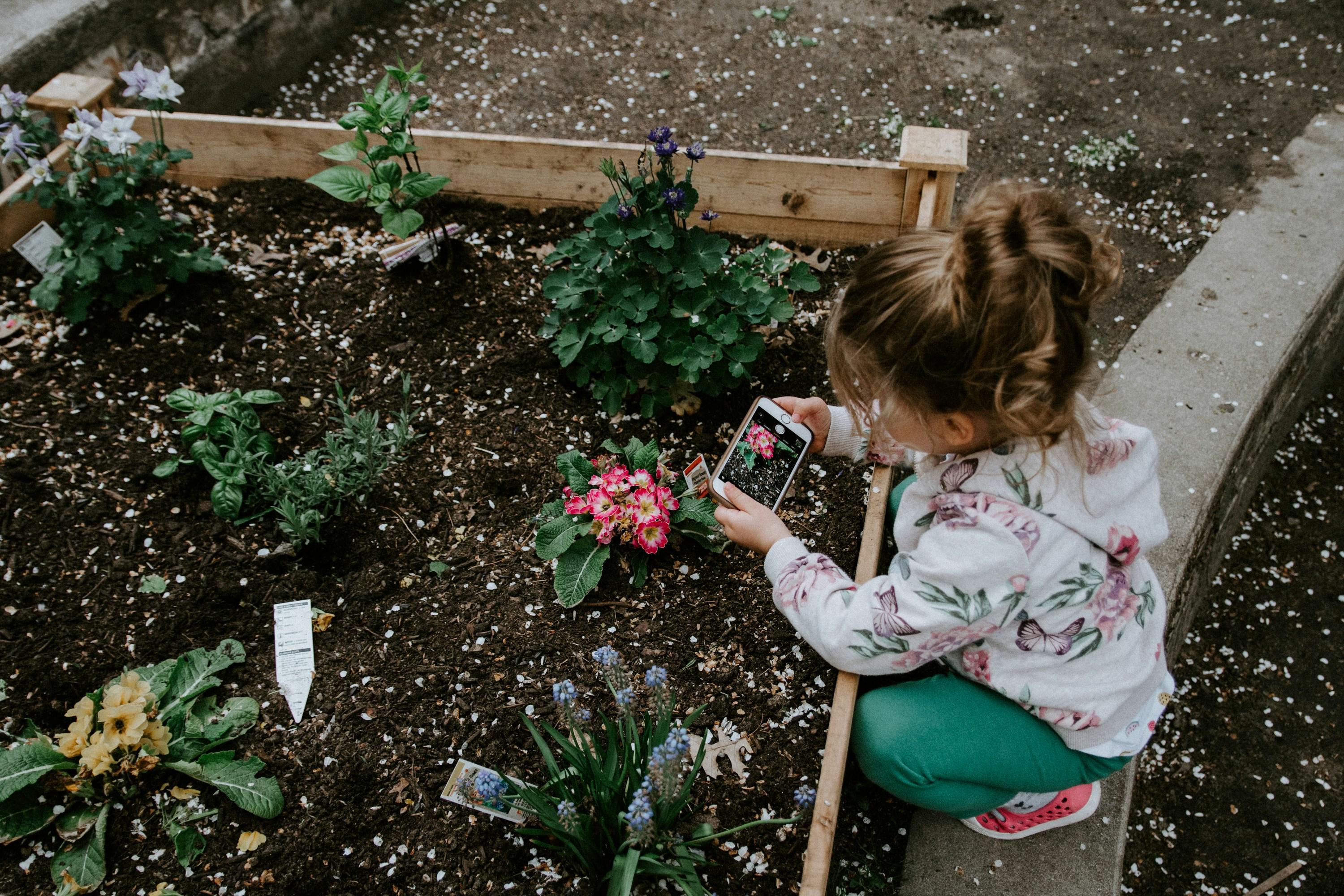 The Benefits of School Gardens and Nature Programs in the UAE – Schoolsery Blog Article