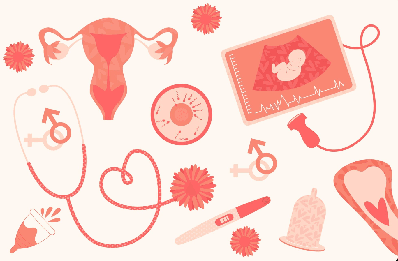 How to Track Your Pregnancy Cycle – Schoolsery Blog Article